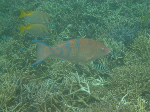 [IMG_9359.JPG]
