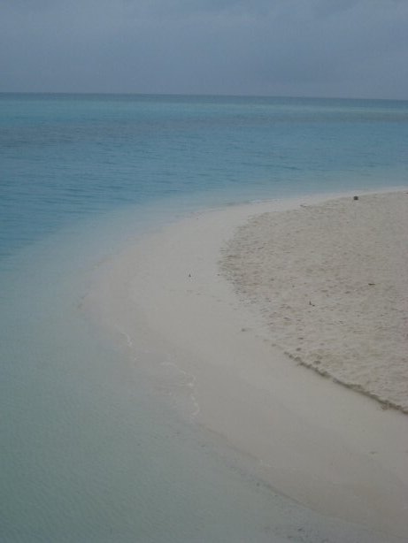 [IMG_9532.JPG]