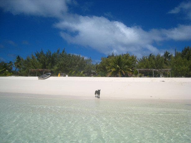 [IMG_9607.JPG]
