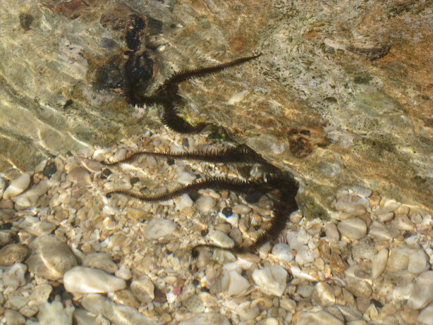 [IMG_9653.JPG]