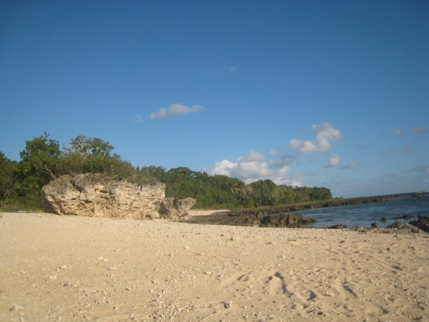 [IMG_9729.JPG]