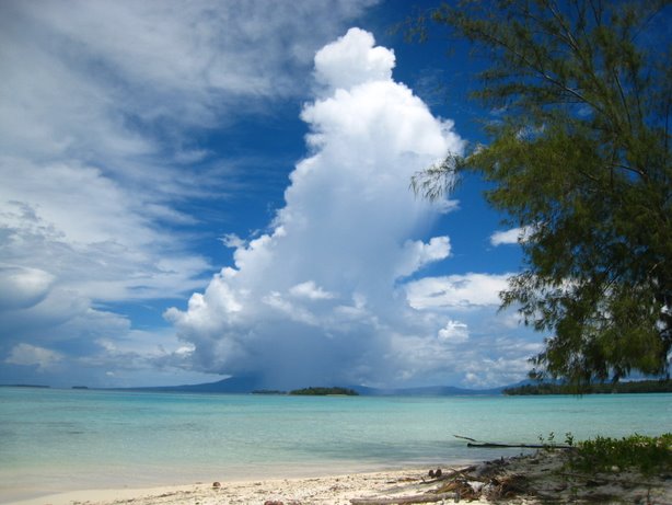 [IMG_0168.JPG]