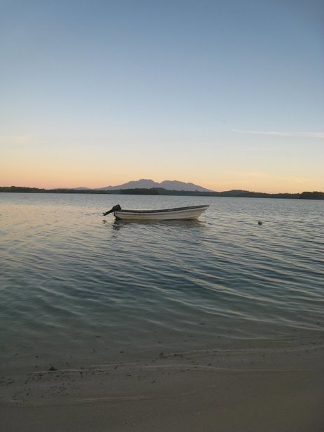 [IMG_0122.jpg]