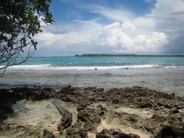[IMG_0115.JPG]