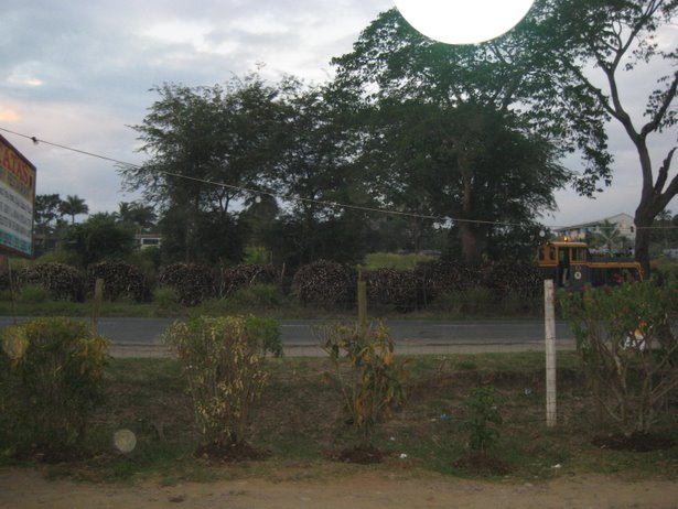 [IMG_0802.JPG]