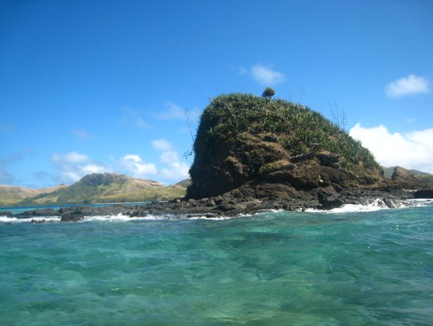 [IMG_0592.JPG]