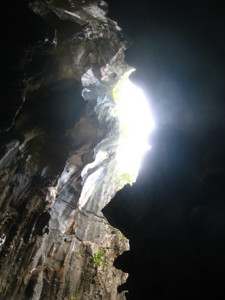 [IMG_0618.jpg]