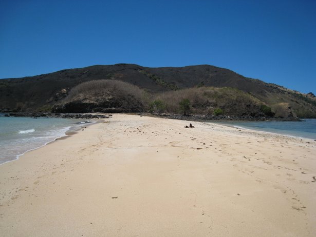 [IMG_0791.jpg]