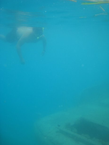 [IMG_0882.JPG]