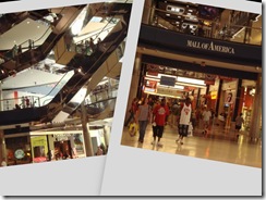 collage4