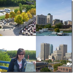 collage7