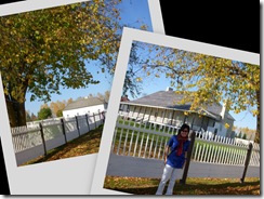 collage2
