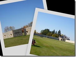 collage4