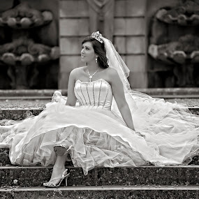 by Will Perrin - Wedding Bride