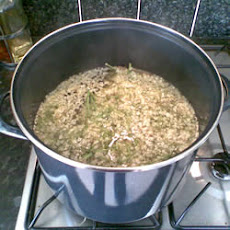 Elderflower Cordial Concentrate