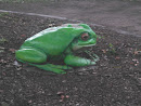 Frog of Higher Learning