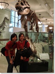 nycarnegie08075