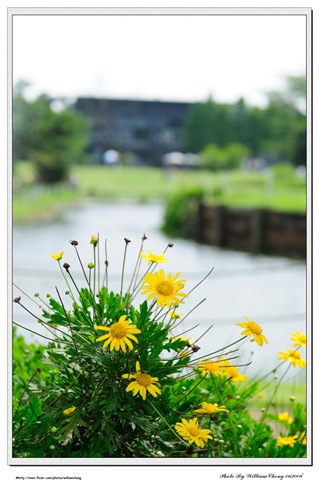 [DSC_2370[4].jpg]