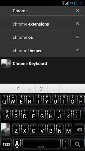 Chrome Keyboard Skin