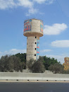 Lion Water Tower 