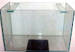Pecera Paquete 10 Peces Angeles Calidad 4 Meses D