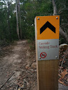 Cascade Walking Track