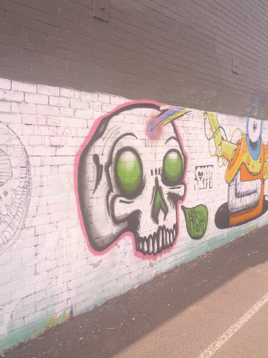 Skull Mural - Upfield Trainline