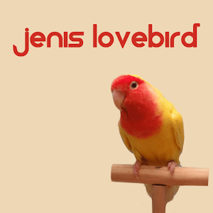 Jenis LoveBird.apk 1.0