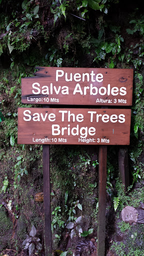 Save The Trees Bridge - Arenal Hanging Bridges