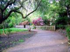 Jardineria Y Mant Casas Y Empresas