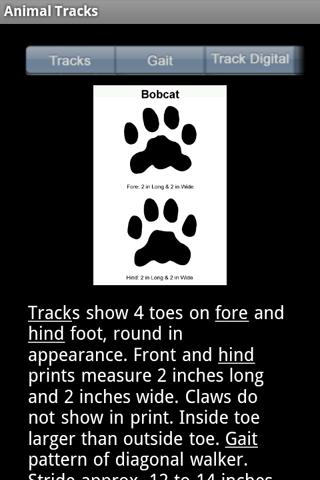 Animal Tracks