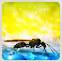 Ant，蟻