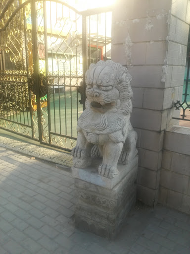 幼儿园门口的狮子