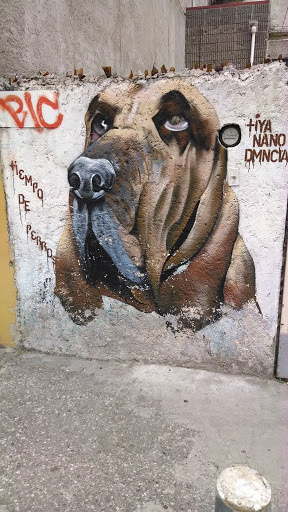 Mural Basset Hound