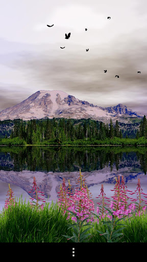 【免費個人化App】Mount Rainier Live Wallpaper-APP點子