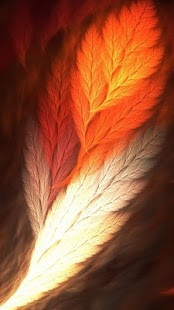 How to install Feather Wallpaper 1.0 mod apk for android