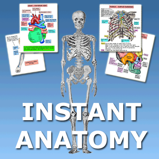 Anatomy Flash Cards LOGO-APP點子