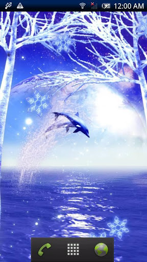 Dolphin Snow