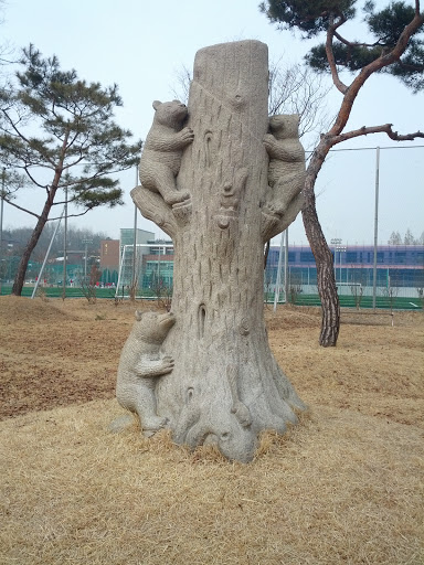 곰세마리 나무