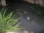 IMG_3741.JPG