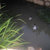 IMG_3741.JPG