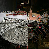IMG_5040.JPG