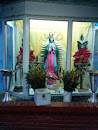 Virgen Amacuzac Y Santiago