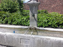 Eichelbrunnen 1870