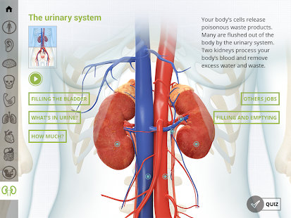 How to get i-Wow Atlas Human Body 11.1 unlimited apk for laptop