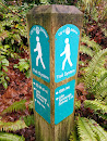City of Bellevue Trail System Marker 