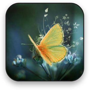 Butterfly Live Wallpaper.apk 14