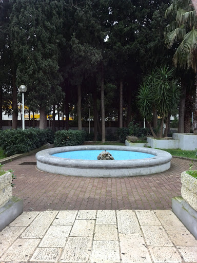 Fontana Corso Roma