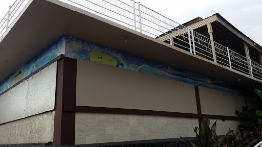 Dolphin Wave Mural