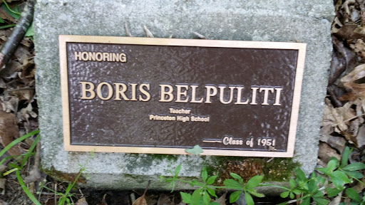 Boris Belpuliti